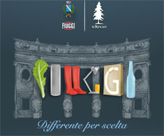 guida al conferimento fiuggi mini guida al conferimento fiuggi mini