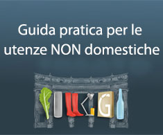 guida utenze non dom modulistica guida utenze non dom modulistica